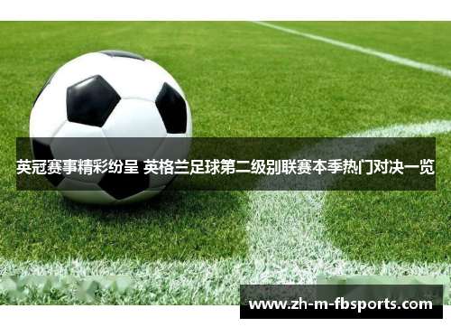 英冠赛事精彩纷呈 英格兰足球第二级别联赛本季热门对决一览