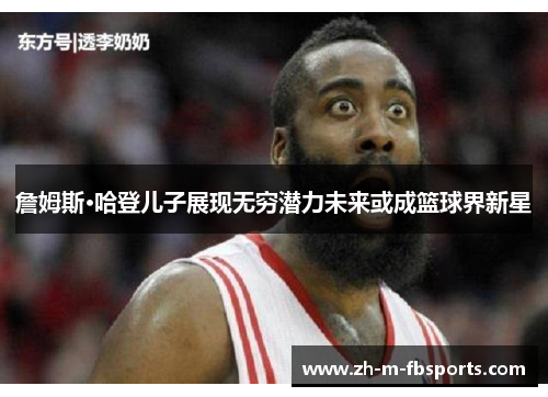 詹姆斯·哈登儿子展现无穷潜力未来或成篮球界新星